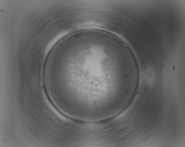 X0000052571333200507011211