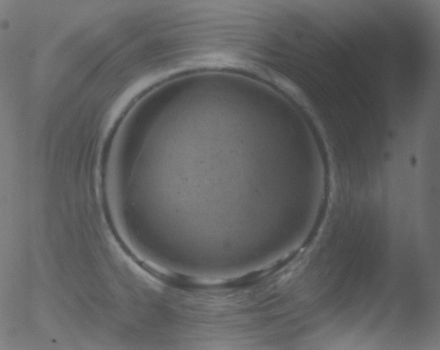 X0000052571334200507011211