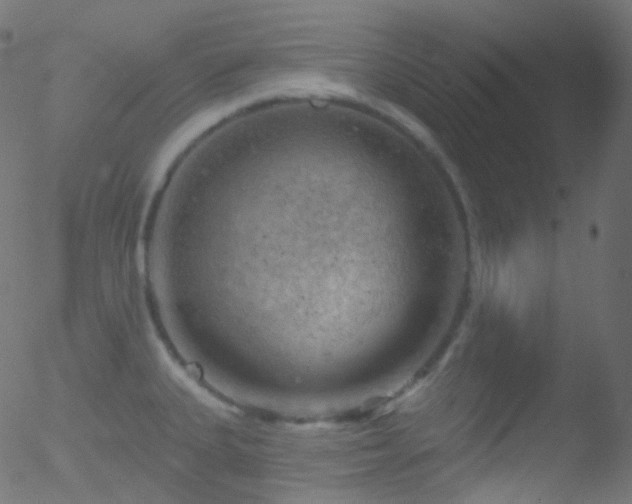 X0000052571335200507011211