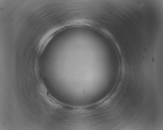 X0000052571336200507011211