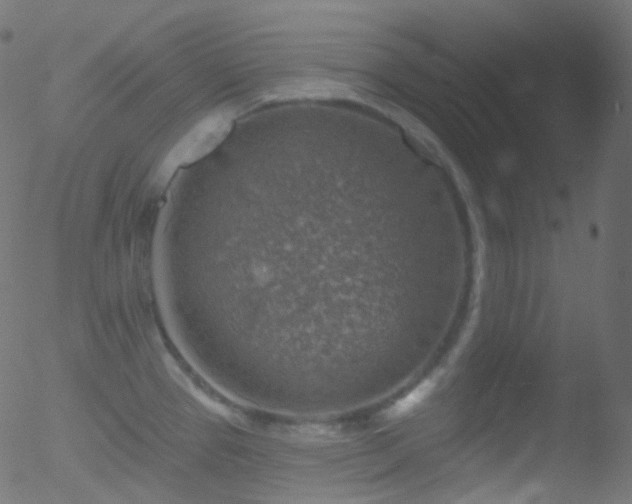 X0000052571337200507011211