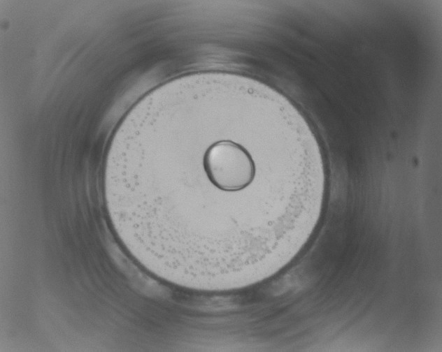 X0000052571338200507011211