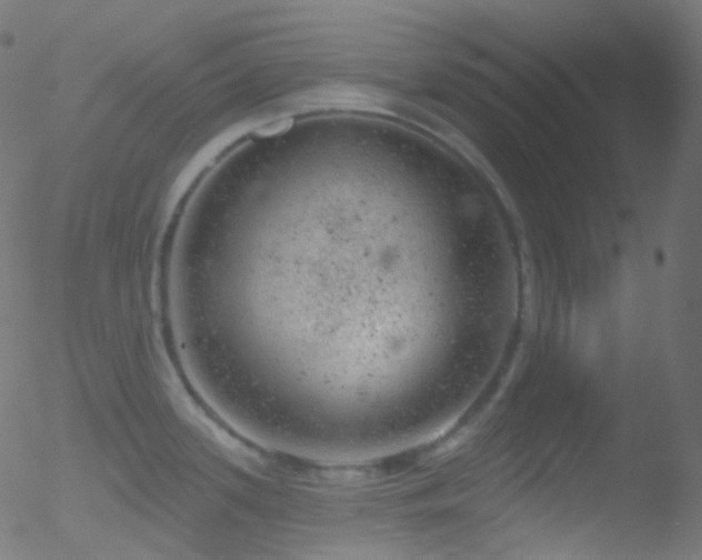 X0000052571339200507011211