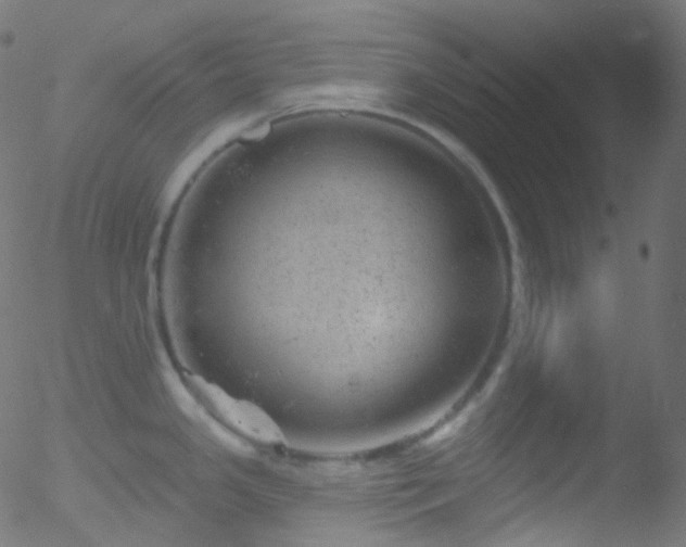 X0000052571341200507011211