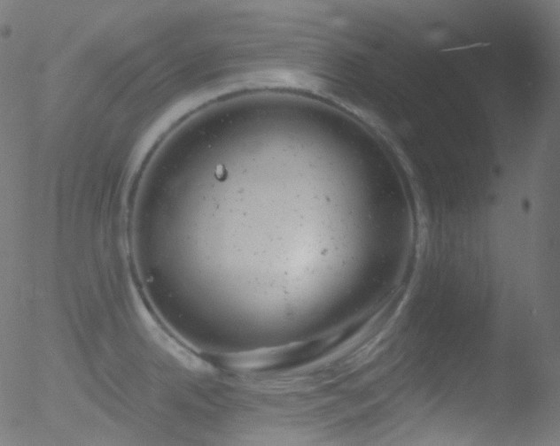 X0000052571342200507011211