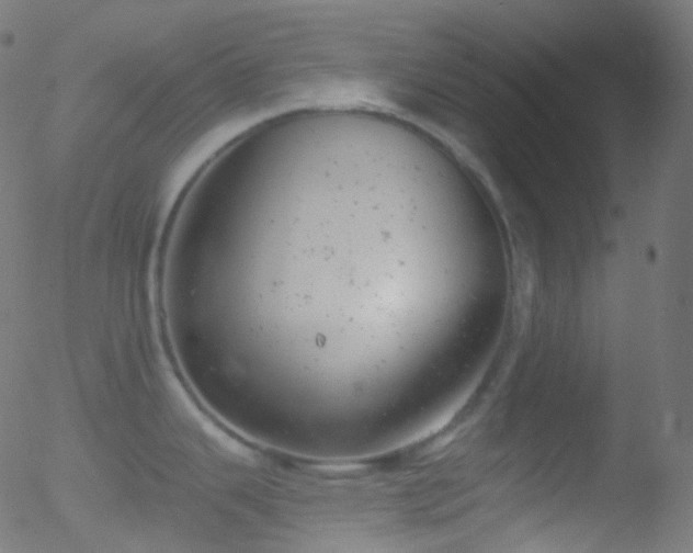 X0000052571343200507011211