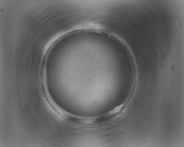 X0000052571344200507011211