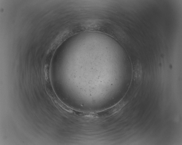 X0000052571346200507011210