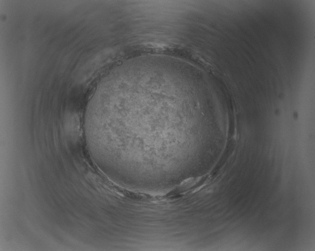 X0000052571347200507011210