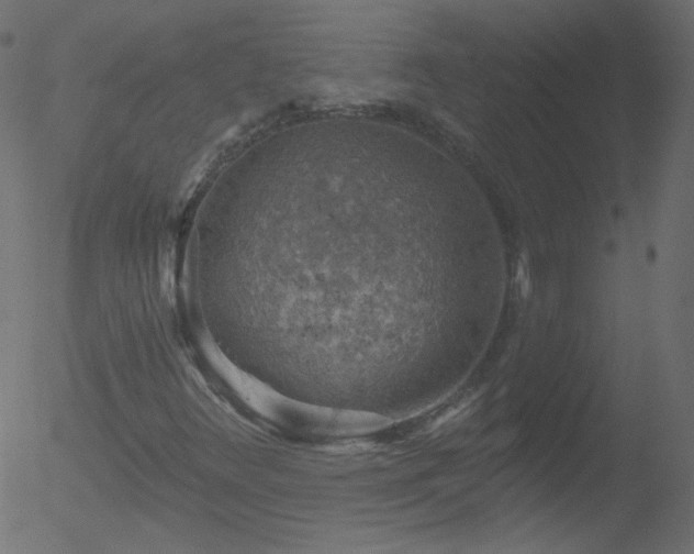 X0000052571348200507011210