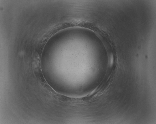 X0000052571349200507011210