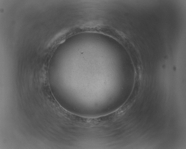 X0000052571350200507011210