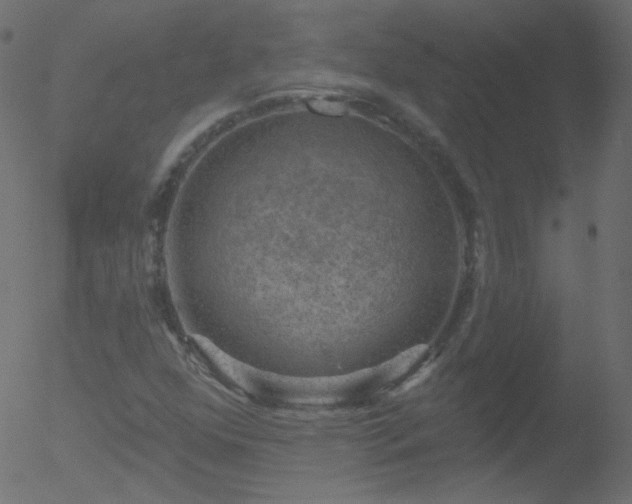 X0000052571352200507011210