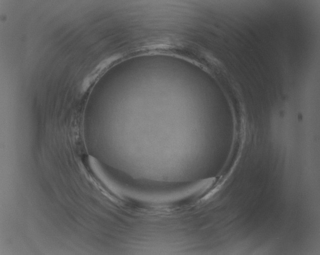 X0000052571353200507011210