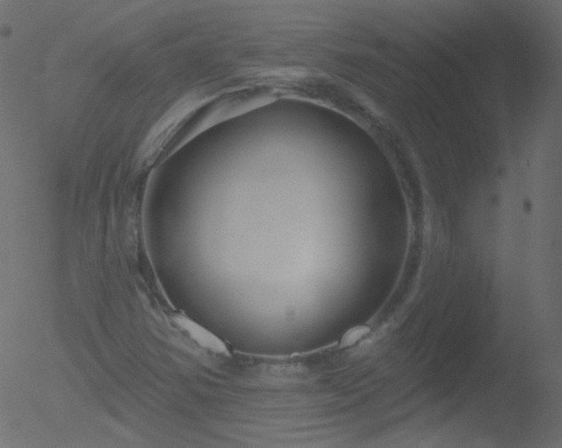 X0000052571354200507011210