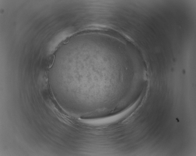 X0000052571355200507011210