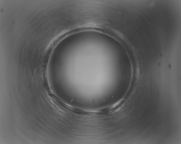 X0000052571356200507011210