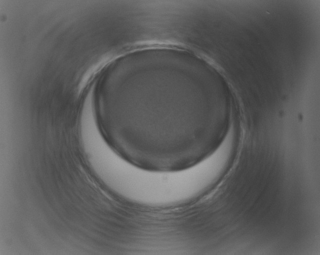 X0000052571357200507011210