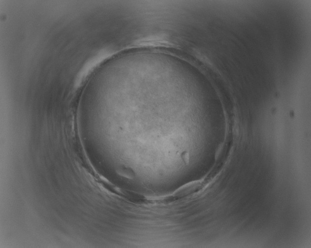 X0000052571358200507011210