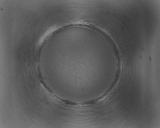 X0000052571359200507011210