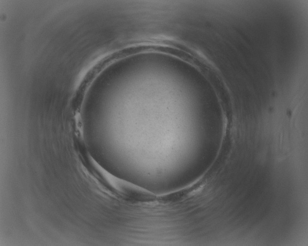 X0000052571360200507011210