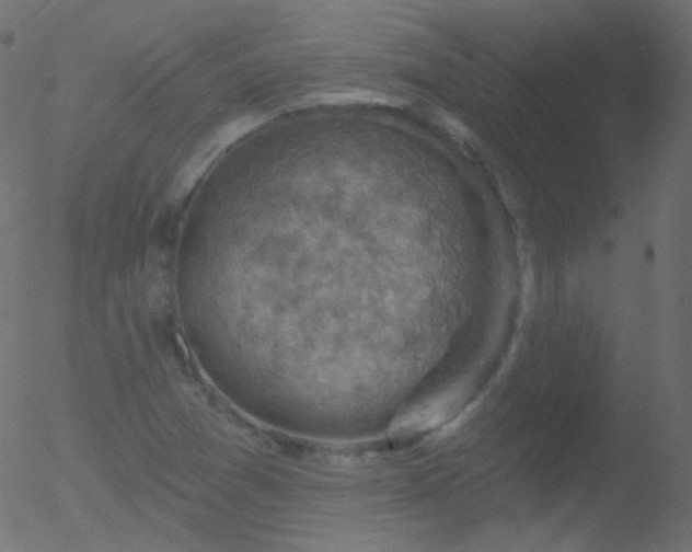 X0000052571361200507011210