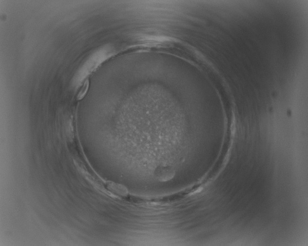 X0000052571362200507011210