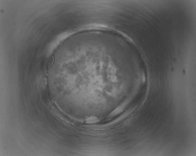 X0000052571363200507011210