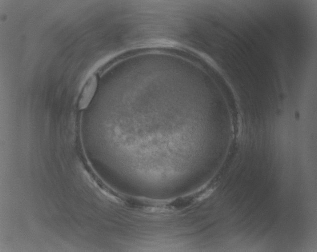 X0000052571364200507011210