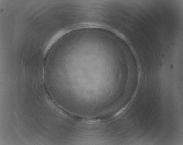 X0000052571365200507011210