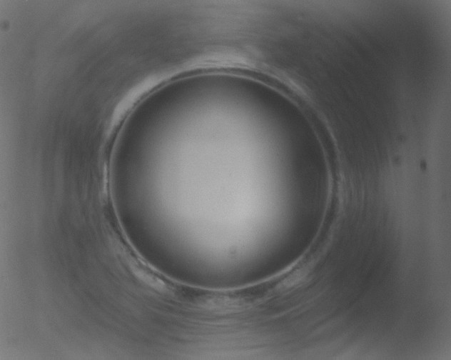 X0000052571366200507011210