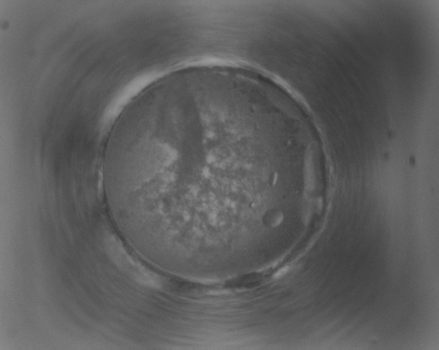 X0000052571367200507011210