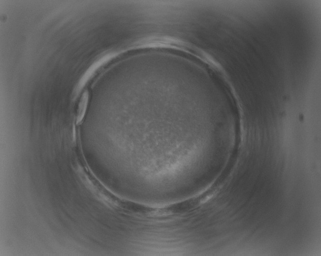 X0000052571368200507011210