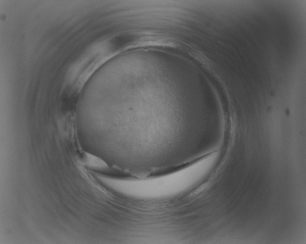 X0000052571369200507011210