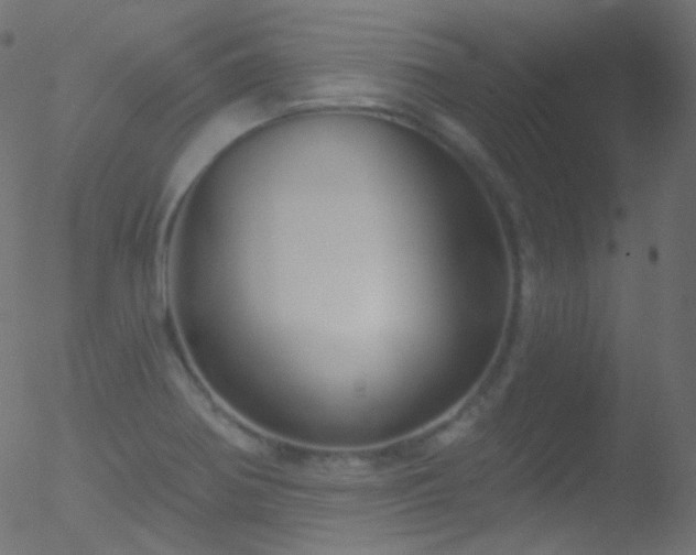 X0000052571370200507011210