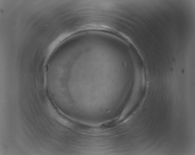 X0000052571371200507011210