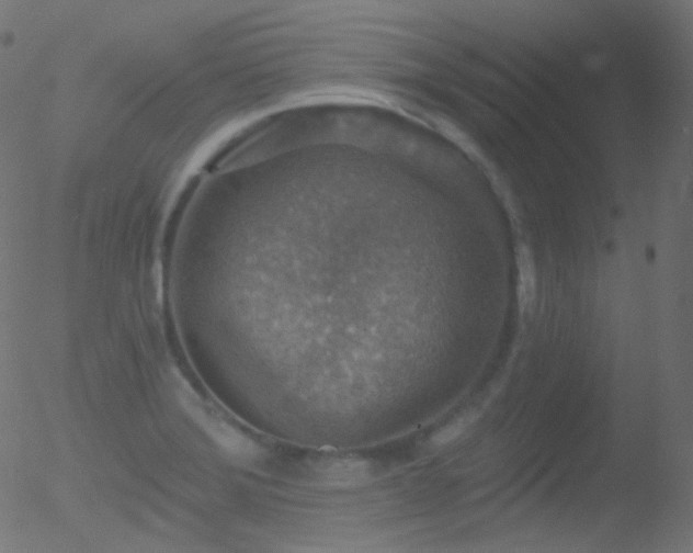 X0000052571372200507011210