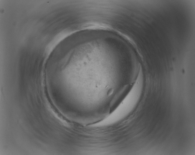 X0000052571375200507011210