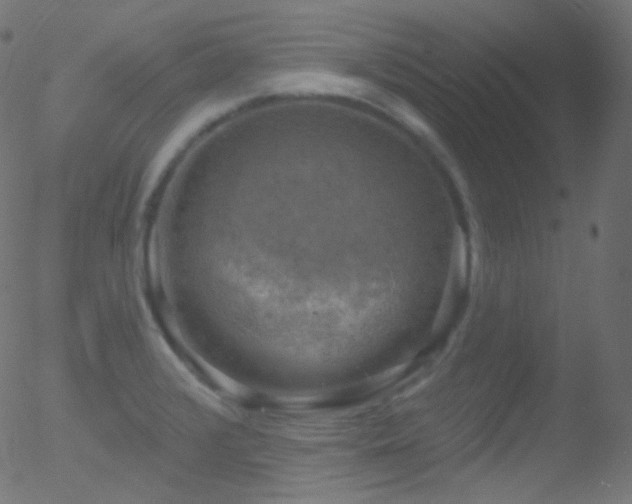 X0000052571376200507011210