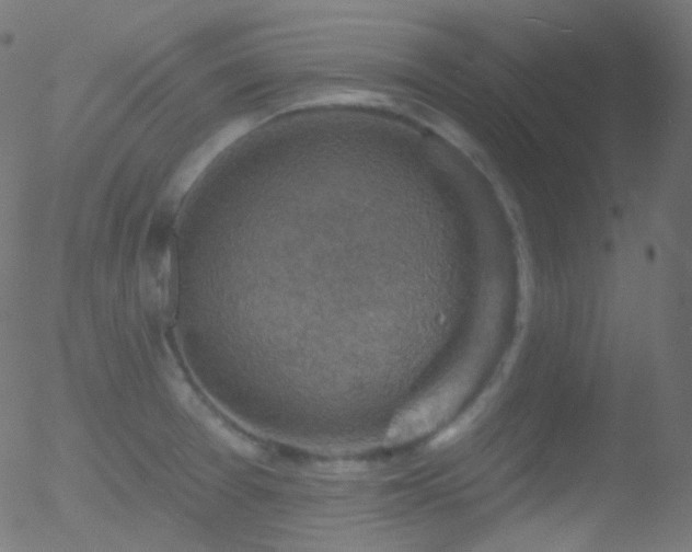 X0000052571377200507011210