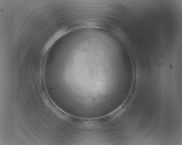 X0000052571378200507011210