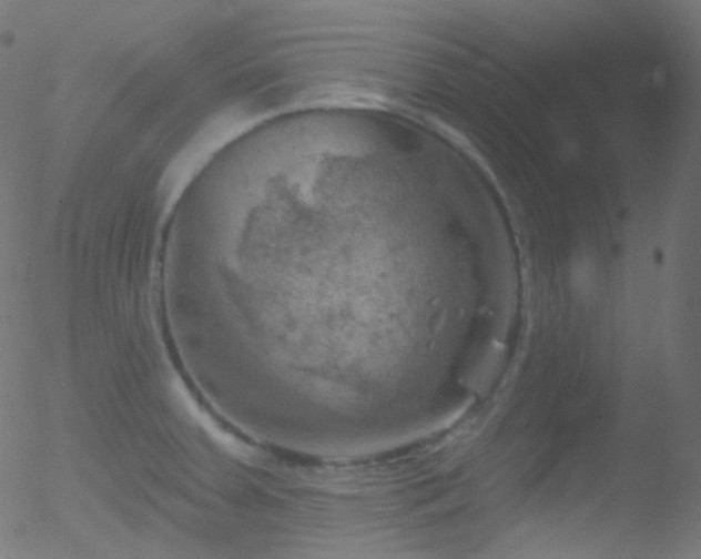 X0000052571379200507011210