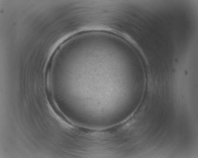 X0000052571380200507011210