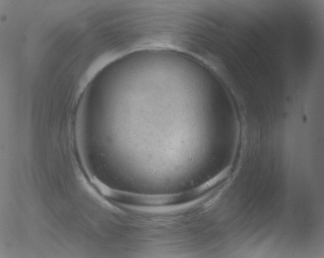 X0000052571382200507011210