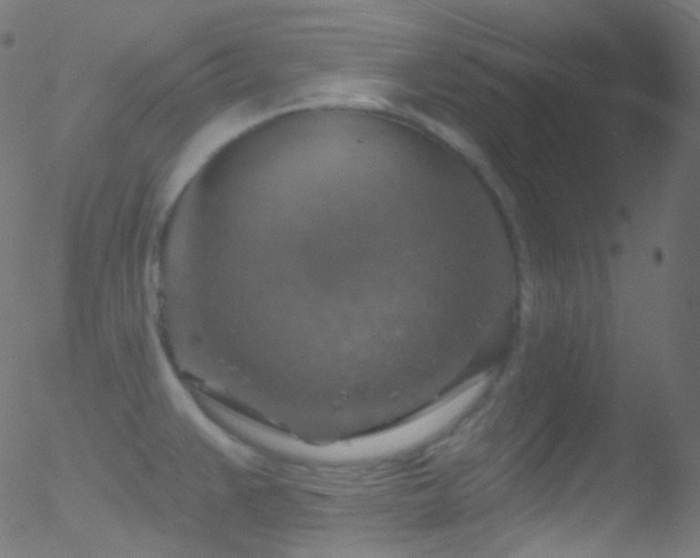 X0000052571383200507011210