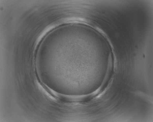 X0000052571384200507011210