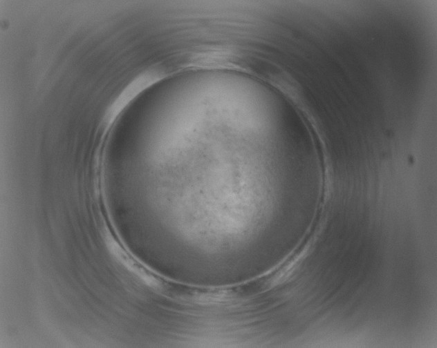 X0000052571386200507011210