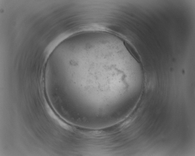 X0000052571387200507011210