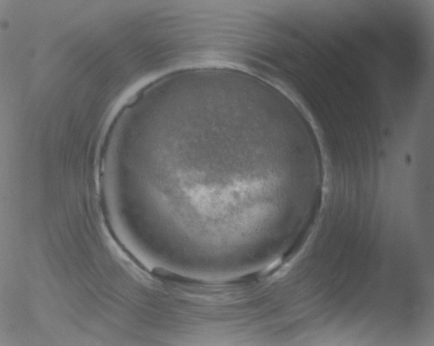 X0000052571388200507011210