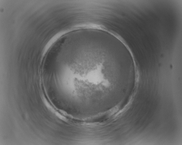 X0000052571389200507011210